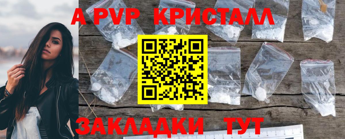 A PVP СК КРИС Юрга