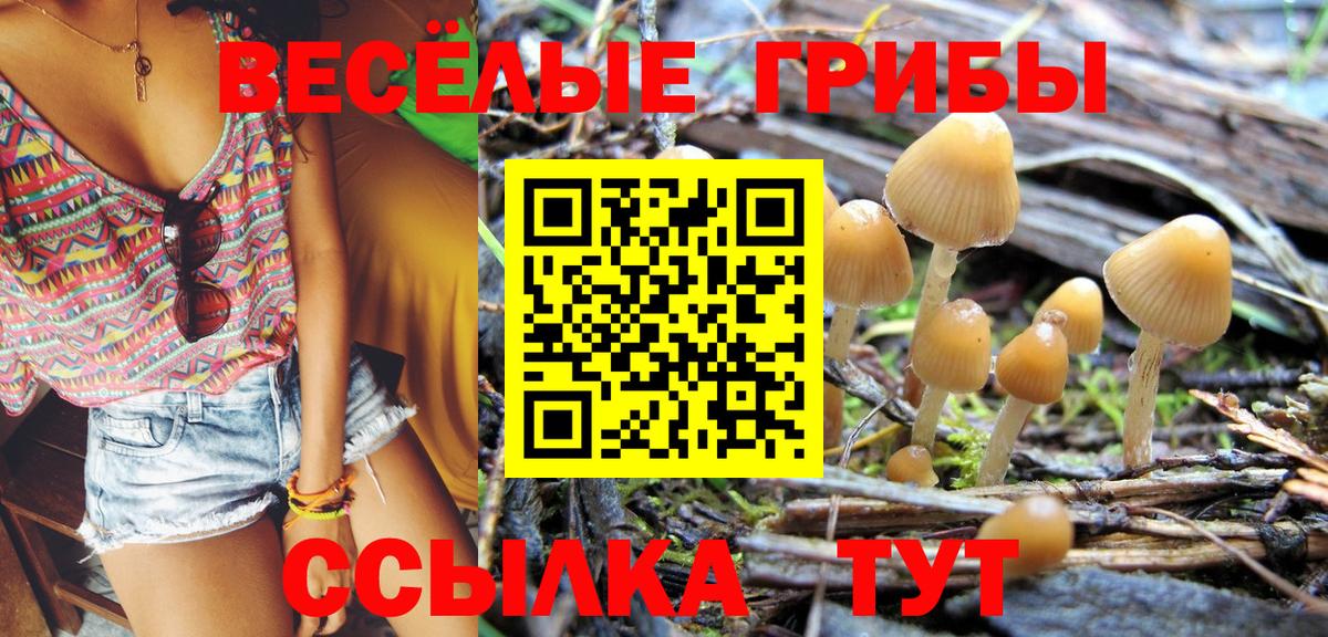Псилоцибиновые грибы прущие грибы Юрга