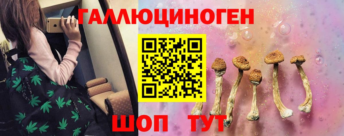 Псилоцибиновые грибы Psilocybe  Вход с VPN  Юрга  Галлюциногенные грибы мухоморы 
